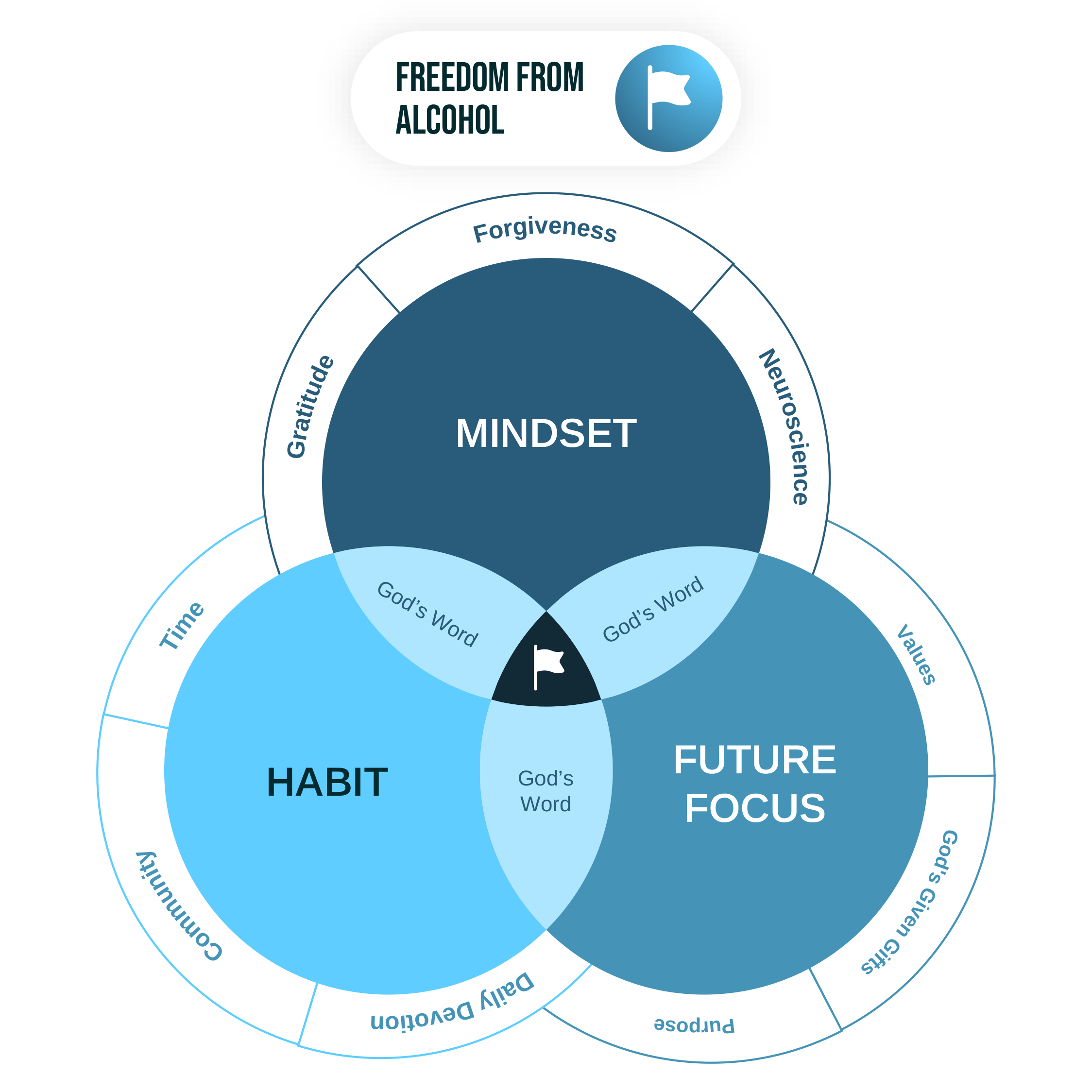 RAFORTE DIAGRAM 1