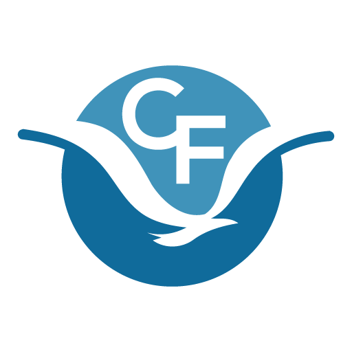 cropped CF Favicon Full color