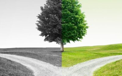 Podcast • Say Goodbye And Imagine With Rose Ann Forte 3 From Numb to Finding Purpose – Core Concept 10