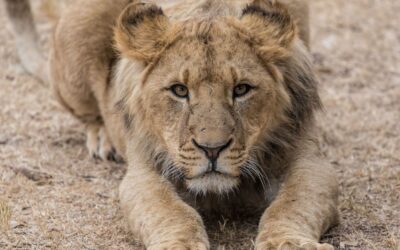 The Moment Before You Lose Control