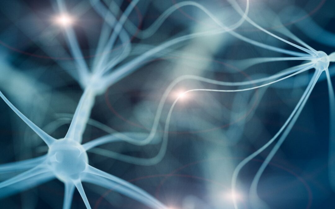 Does Alcohol Really Kill Brain Cells? Separating Myth from Science